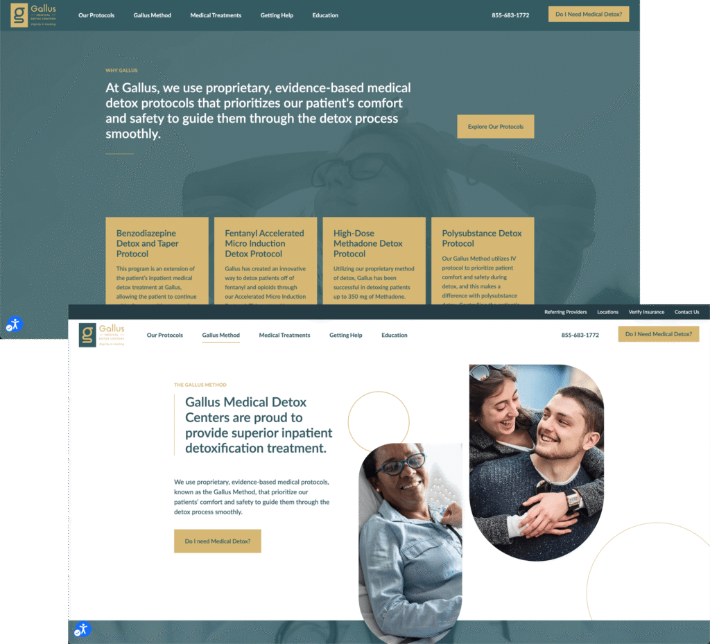 Gallus Detox OVERVIEW & OBJECTIVE by Digitech